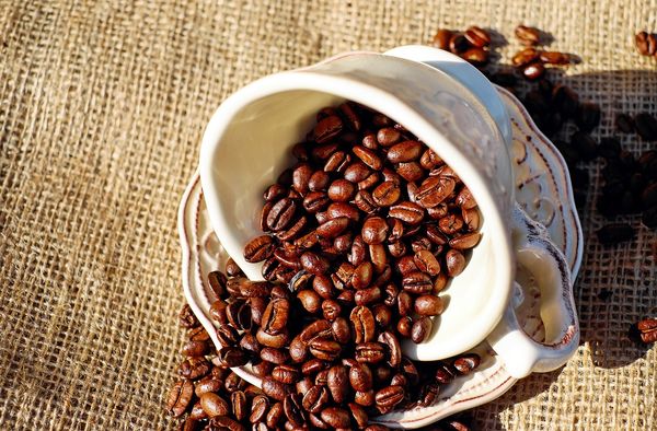 Produkcja kawy – najważniejsze informacje